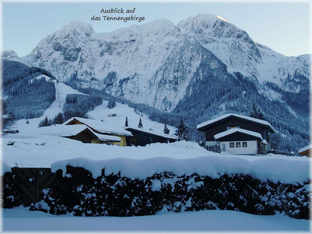 Apartment Dreier - Salzburger Land Abtenau Extérieur photo