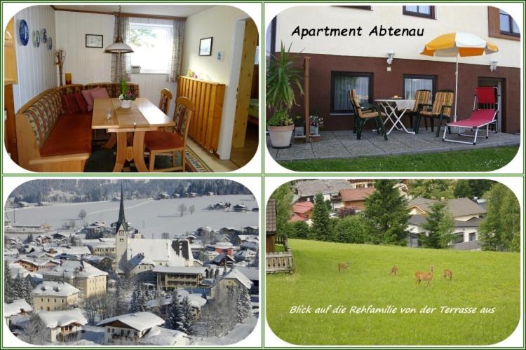 Apartment Dreier - Salzburger Land Abtenau Extérieur photo